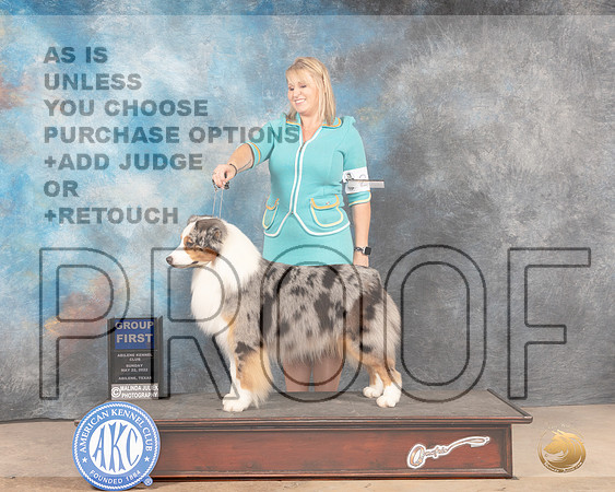 Australian Shepherd #27 Sun G1 Judge Joan Liebes-MMJ_5178-Abilene2022-HR3