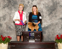 Pomeranian #16 Sun Maj WB Korenovska Luliia judge Nancy Smith Hafner