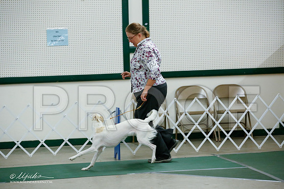 _JJ_4521-NrmnNov2014-HR3