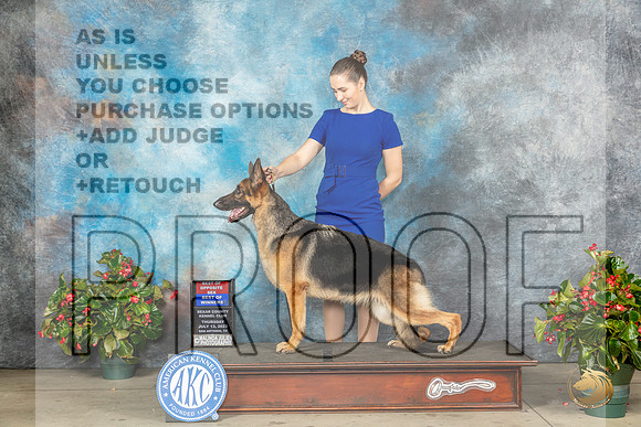 German Shepherd Dog #22 WBBOWBOS Judge Dr Michael WoodsMJP_7125_SA2023_HR3