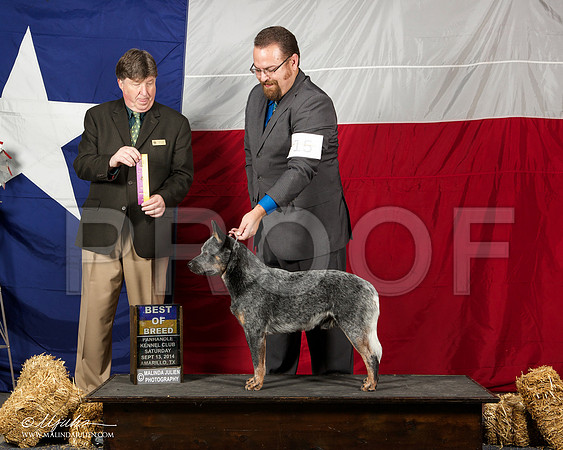 _ST_1680-AmarilloSep2014-HR3