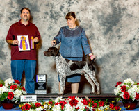 German Shorthaired Pointer #21 Sat BOB Derrick Averitt D & Nancy Ward Judge Mrs Sari Brewster Tietjen