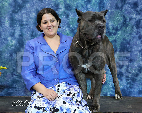 Cane-6408-IABCAFWSpt13-HR