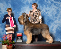 Briard #5 Sun G2 House Kimberly Judge Sharon Derrick