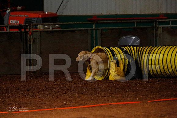 FNov16-2112-WFOct2013-HR