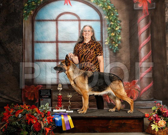 _ST_7127-2-NrmnNov2014-HR3