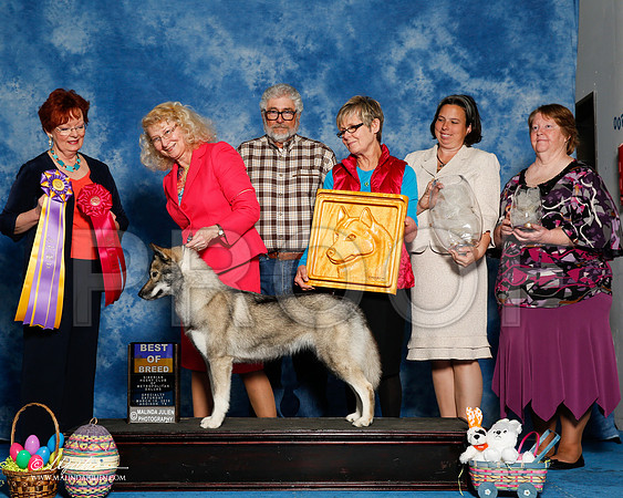 _R1_8197-2-HuskySltyMar2016-HR3