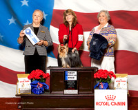 #91 Fri 1st Am Bred Sekimori Tomoko Judge Erika Moureau