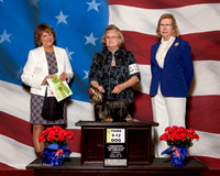 #115 Thurs 3rd 9-12 Puppy Dog Sweeps Griffis Fran Judge Lauri Loisel