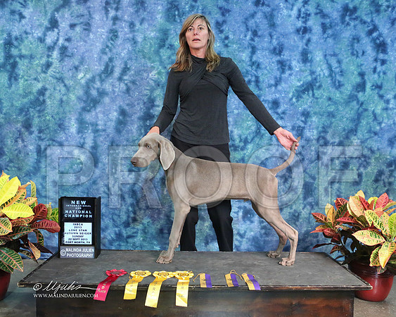 Weim-1849-IABCAFWSpt13-HR