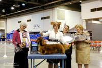 Dachshund Longhaired #17 Thurs BOB Vidrine Kim & Paula Carter & Walter Jones & Mary Jone