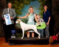 Pointer #6 Sat G1 Johnston Jane Megan Lane John Kearney Richard E Judge Brian Meyer