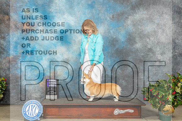 Pembroke Welsh Corgi #6 Fri WB Judge Patti Widick NealeMJP_7869_SA2023_HR3