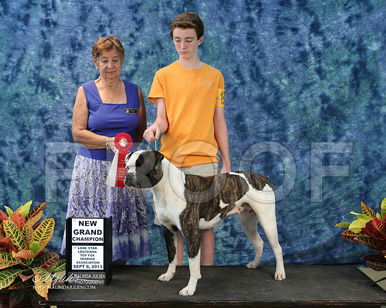 AmBull-6506