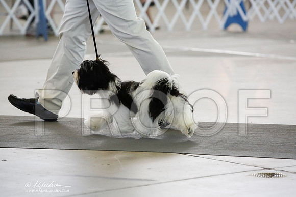 _CK_1715-DallasJul2014-HR3