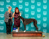 Christine Laliberte Premier 2023