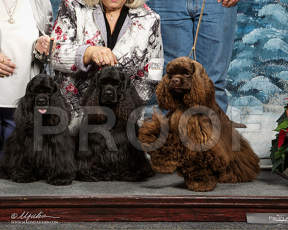 _ST_8914-DallasDec2014-HR3