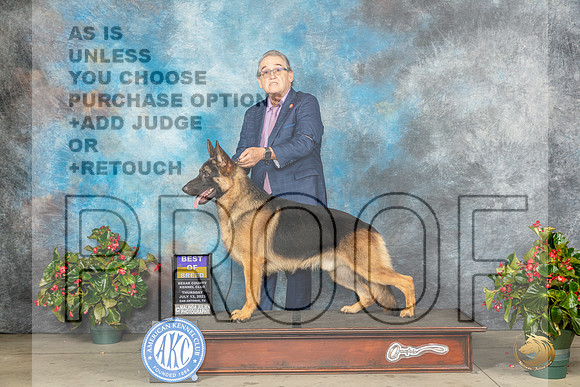 German Shepherd Dog #11 Thu BOB Judge Dr Michael WoodsMJP_7114_SA2023_HR3