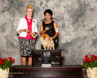 Pomeranian #11 Sun BOB Bertrand Bill and Eu An Su Judge Nancy Smith Hafner