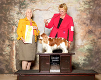 Cavalier King Charles Spaniel #7 Fri G3 Spears Dr Carmen Herbel and Karin Ostmann and C Blair Agent Susan M Taylor Katzenstein Judge Ann Hearn