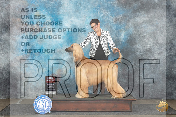 Afghan Hound #6 Mon G2 Judge Dr Steve Keating__JP_4500_Lubbock_2024_HR3