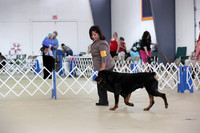 Guardian Group Sun. Show 3 Hutto Sept 2013