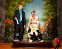 Tibetan Terrier #7 Sun Maj WB Planche Dina and Mikki and Lois DeMers Judge Troy Dargin