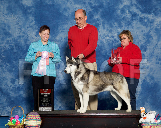 _R1_8236-HuskySltyMar2016-HR3