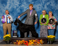 Giant Schnauzers #60 Sat WB Maj Rutkas Michael Maura Hayes Judge Mr Richard J Lewis