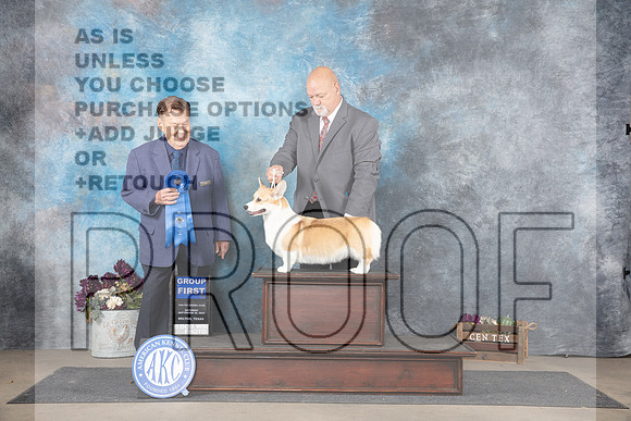 Pembroke Welsh Corgi #6 Sat G1 Judge Del Richards__JP_7363_Belton_2024_HR3