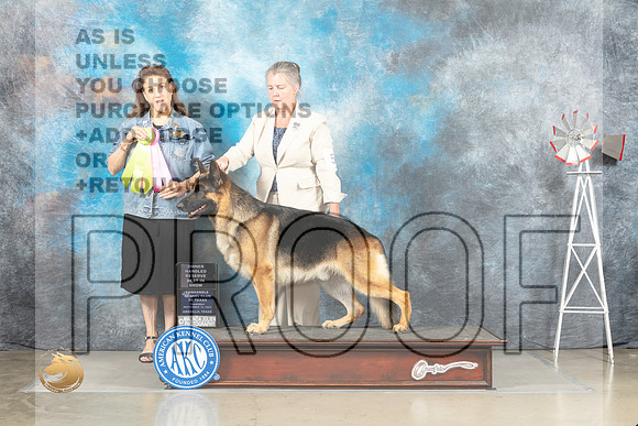 German Shepherd Dog #5 Thur OHBIS Judge Joan Liebes_MJ_3835_Amarillo_2022_HR3