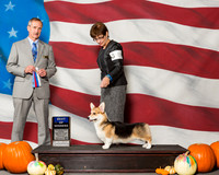Pembroke Welsh Corgis #8 Sat BOW Your Marian J Judge Mr Rick Gschwender