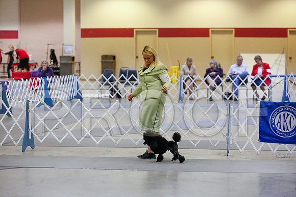 _JJ_1382-AmarilloSept2014-HR3
