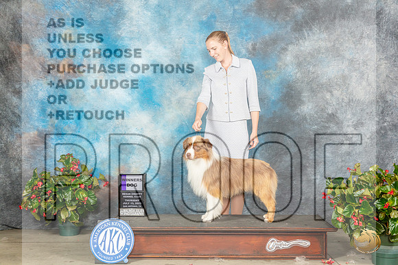 Miniature American Shepherd #9 Thur WD Judge Dr Michael WoodsMJP_7216_SA2023_HR3