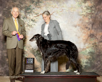 Borzoi #8 Fri NC BOB Van De Water Judge Roger Hartinger