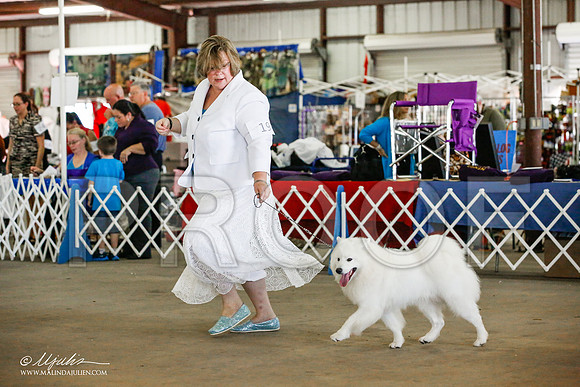_JJ_4210-AlamogordoOct2014-HR3