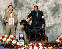 Rottweiler #17 Fri BOB Pyane Jacklyn and Kelly Sisk Agent Bobby Schoenfeld Judge David Haddock