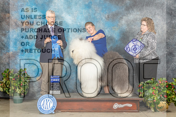 Old English Sheepdog #5 Sun G1 Judge Dr Michael WoodsMJP_0430_SA2023_HR3