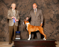 Boxer #12 Sat BOW Nygren Kathleen Agent Michael Shepherd Judge Roger Hartinger