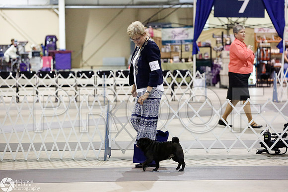 _RH_4460-SanAntonioJul2014-HR