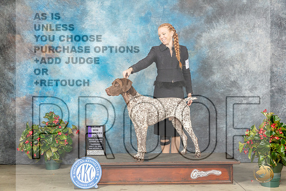 German Shorthaired Pointer #7 Thu WDM Judge Helene NietschMJP_7070_SA2023_HR3