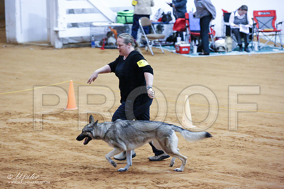Shiloh-5196-IABCAFWSPT13-HR