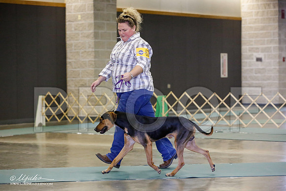 _JN_2631-BeltonJan2015-HR3