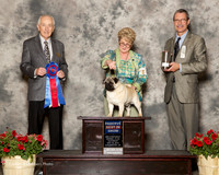 Pug #5 Sat RBIS Griffin L D Hedstrom R Brewer JE Huff M Norton Judge Roger Hartinger