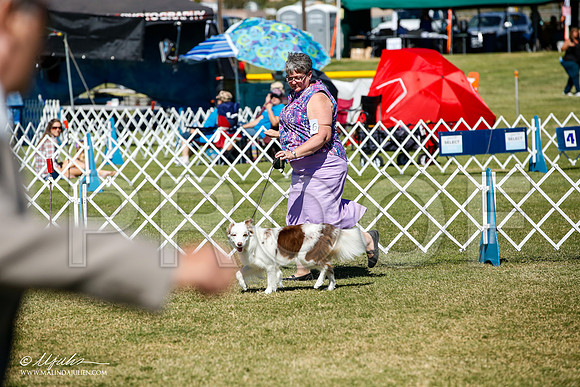 _JJ_1258-AlamogordoOct2014-HR3