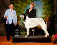 Borzoi #8 Sat NC McFadden Shirley Judge Joe Walton
