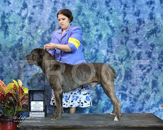 Cane-6468-IABCAFWSpt13-HR