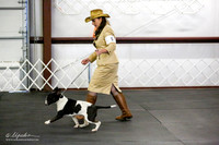 Colored 6-9 Bitch Sweeps Sat Ring