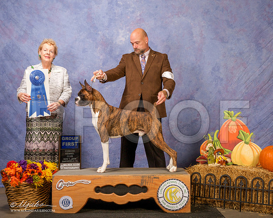 _CL_4554 - Version 2-SanAngelo2014-HR3