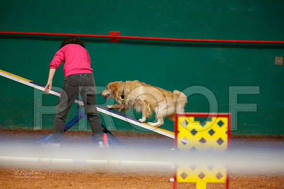 StdNov20-7224-WFOct2013-HR